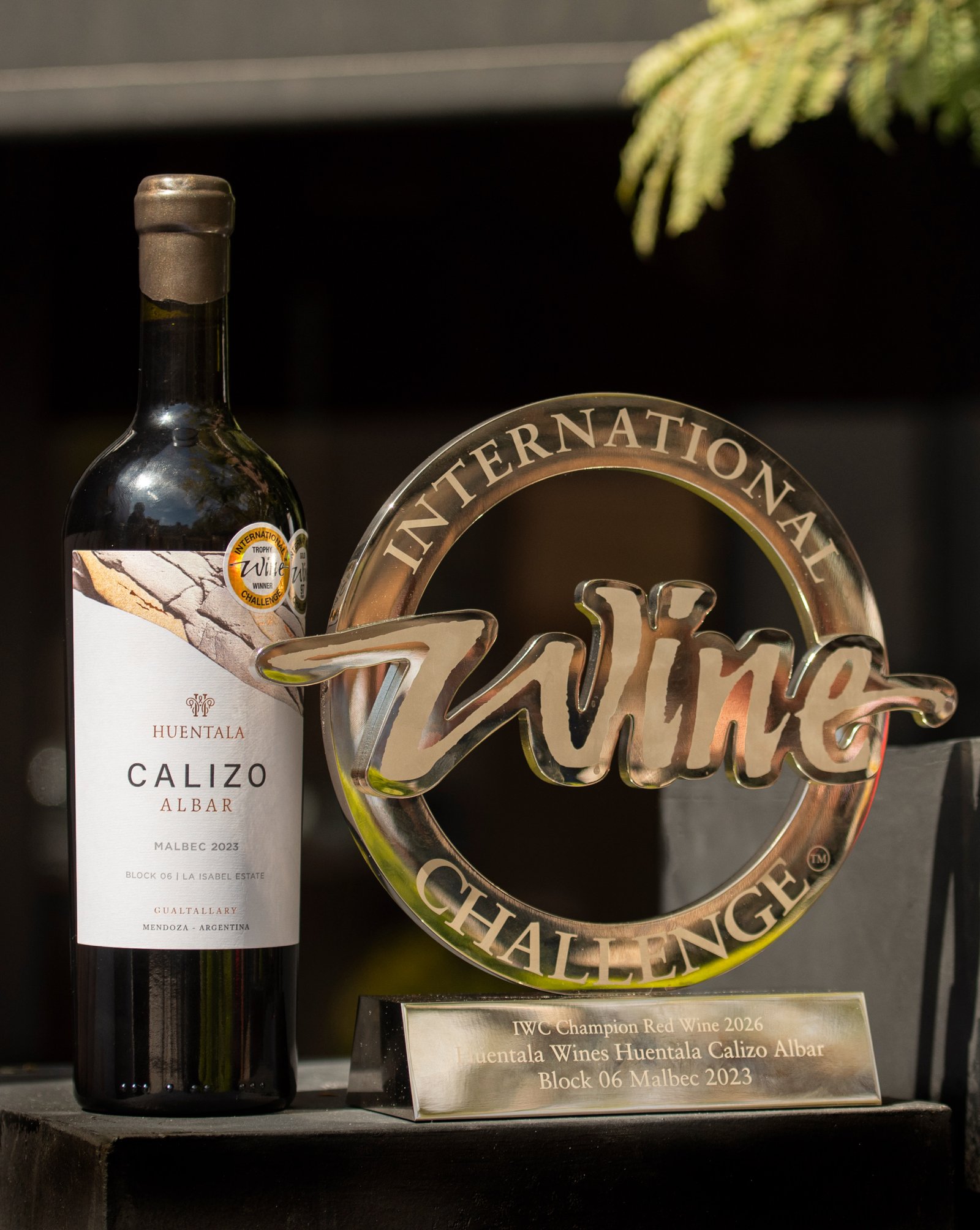 Un diseño que hoy acompaña un logro extraordinario. 🍷🏆